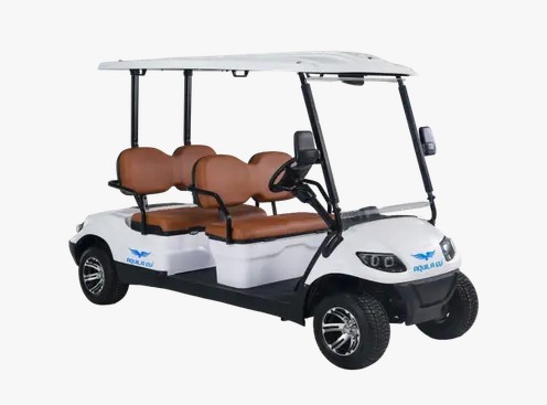 BTS Comfort 4-Seater electric golf cart