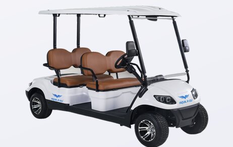 BTS electric golf cart